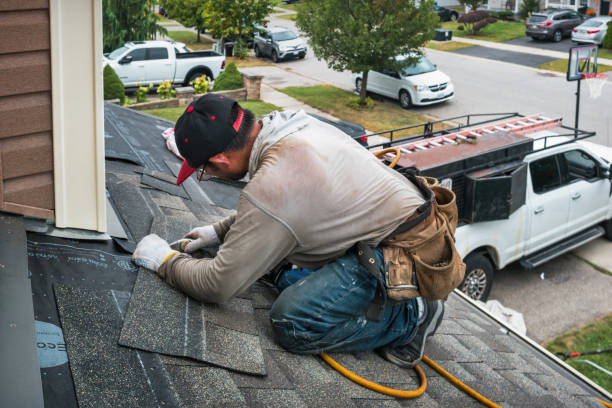 Professional Roof Replacement technician working in Leota, MN
